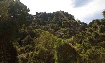 Imagem 6: Terreno no Morro do Elefante 5800m