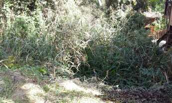 Imagem 4: Vendo Excelente Terreno em Cond