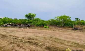Imagem 4: Fazenda à venda 3.900 Hectares em Colinas/TO