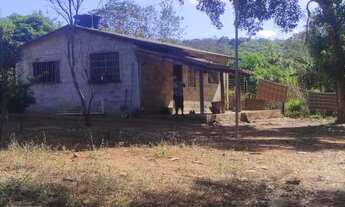 Imagem 5: Sitio de 10hectares localizado na divisa de Pedro Leopoldo com lagoa santa a 55km de BH