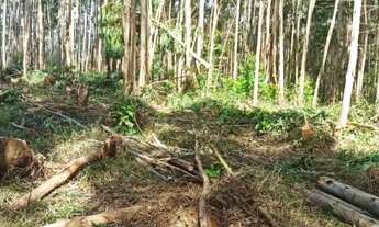 Imagem 2: 38- Lote/Terreno para venda tem 1000 metros quadrados em Jacareí - Igaratá - São Paulo