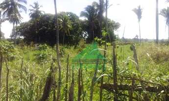 Imagem 2: Terreno à venda, 40000 m² por R$ 2.800.000,00 - São José de Ribamar - São José de Ribamar