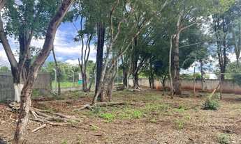 Imagem 3: Chácara de 31 mil metros