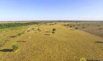 Imagem: Fazenda à venda, 3.458 Hectares em Pium/TO