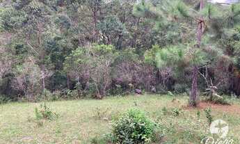 Imagem 3: Terreno à venda, 7106 m² por R$ 640.000,00 - Ressacada - Garopaba/SC