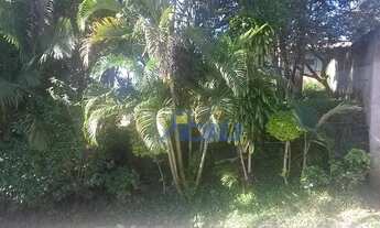 Imagem 2: Terreno, Água Verde