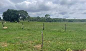 Imagem 7: Fazenda à venda, 2478 hectares por R$ 12.800.000 - Zona Rural - Itacajá/TO