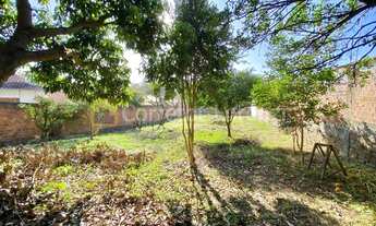 Imagem 6: Terreno amplo no bairro Rondônia em Novo Hamburgo