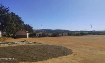 Imagem 2: Sítio de Café Chácara com venda por R$5.500.000