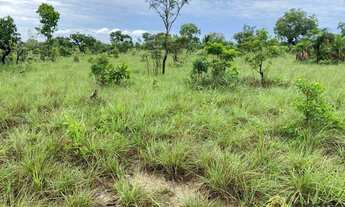 Imagem 6: Fazenda à venda, 1.100 Hectares em Araguacema do Tocantins