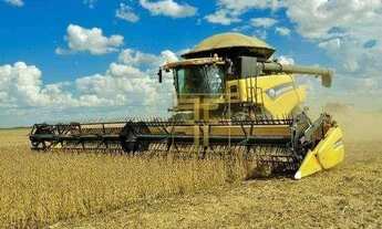 Imagem: Fazenda 700 Hectares, Miracema do Tocantins