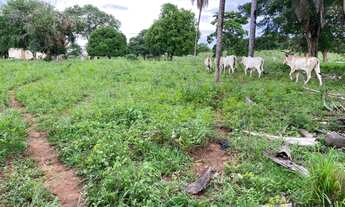 Imagem 7: Fazenda à venda, 400 Hectares em Miracema do Tocantins/TO