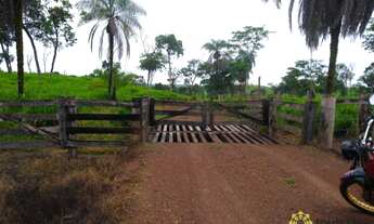 Imagem 1: Fazenda para pecuária à venda, 870 Hectares em Miracema do Tocantins/TO