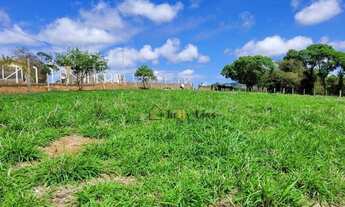 Imagem 3: Maravilhoso terreno a venda na cidade de Socorro, com área de 54.000 m², formado em pasto