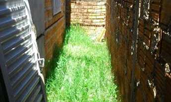 Imagem 4: Casa no Promora Casa com 3 dormitórios