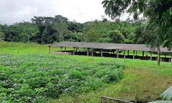 Imagem 7: Sítio 12 Hectares Capão Seco Paranoá !!! 1.000.000 !!!