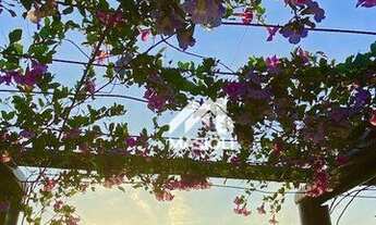 Imagem 2: Terreno plano no Jardins Veneza