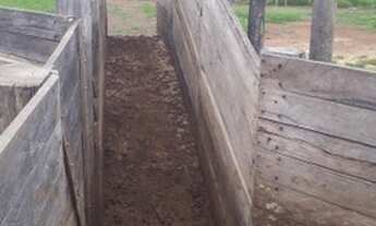 Imagem 7: Fazenda 226 Alqueires em Rio sono Tocantins