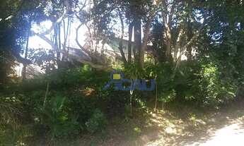 Imagem 3: Terreno, Água Verde