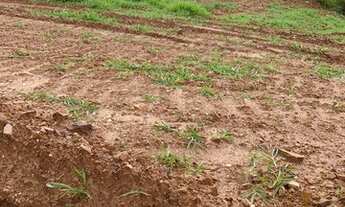 Imagem: Ótimo terreno (1000m²) em ótima localização