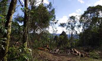 Imagem 5: GRAMADO - Terreno Padrão - Centro