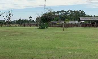 Imagem 2: Fazenda a venda!!