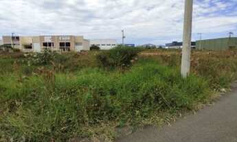 Imagem 5: TERRENO INDUSTRIAL AS MARGENS DA BR 101 - TE604