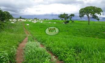Imagem: Fazenda plana com terras pretas