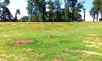 Imagem: Lote/Terreno para venda tem 1000 metros