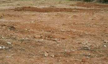 Imagem 5: AREA - IPIRANGA - SP