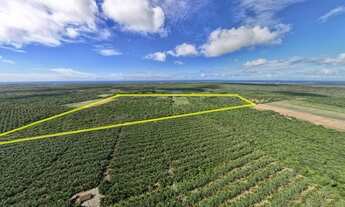 Imagem 6: Área à venda, 340000 m² por R$ 977.000,00 - Touros - Touros/RN