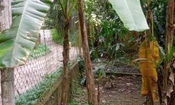 Imagem 3: Venda de terreno no sertão do cambury