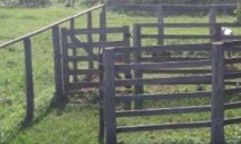 Imagem 2: VENDO FAZENDA DE 1.200 HECTARES NA REGIÃO DE POCONÉ MT
