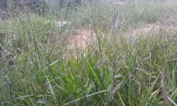 Imagem 6: Terreno à venda, 160 m² por R$ 165.000,00 - Bosque Santa Rosa - Itu/SP