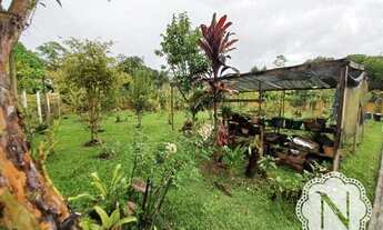 Imagem 4: Chácara com 5 dormitórios à venda, 4062 m² - Jardim Coronel - Itanhaém/SP