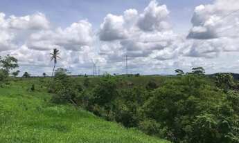 Imagem 3: Fazenda para venda, possui 780.000m² próximo a BR - 367