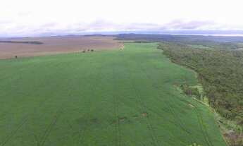 Imagem 6: Fazenda de 570 Hectares plantando em Porto Nacional/TO