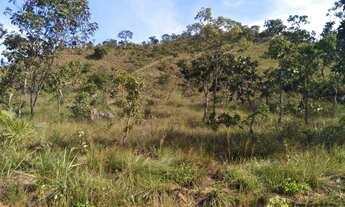 Imagem 5: Fazenda à venda, 3.280 Hectares em Lagoa do Tocantins
