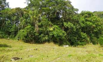 Imagem 5: Sítio Terreno Rural Guabiruba - SC - Aimoré