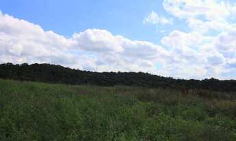 Imagem 7: Ótimo lote na cidade de cotia venha conferir