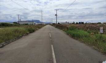 Imagem 4: TERRENO INDUSTRIAL AS MARGENS DA BR 101 - TE604