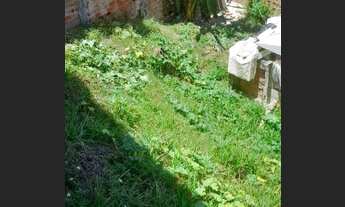 Imagem 2: Casa pré-construída em jauá