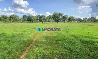 Imagem 3: CURVELO - Fazenda - Zona Rural