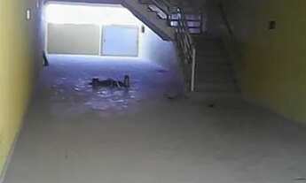 Imagem 2: Cobertura com 2 dormitórios para alugar, 100 m² por R$ 2.024,00/mês - Parque Capuava - San