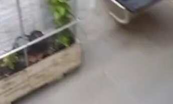 Imagem 3: CASA RESIDENCIAL em SÃO PAULO - SP, CIDADE LÍDER