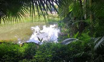 Imagem 3: SÍTIO RICO EM ÁGUA COM 48.000 MTS - CÓD.: 695