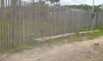 Imagem: Terreno no Bairro Mararu