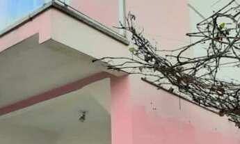 Imagem 3: Sobrado de esquina no Centro de Camboriú-2 suites-2 vagas -jardins