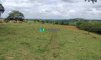 Imagem 3: NOVA SERRANA - Fazenda - Zona Rural