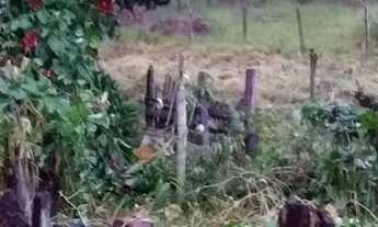 Imagem 4: Chácara área rural